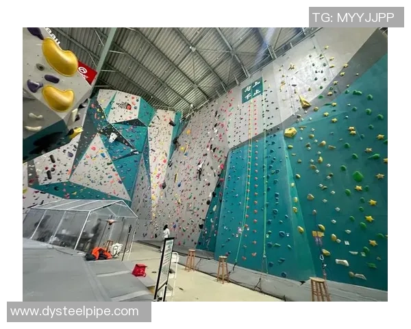 上海攀岩队快攻革新之路探索与实践的深度剖析 上海攀岩队快攻革新之路探索与实践的深度剖析