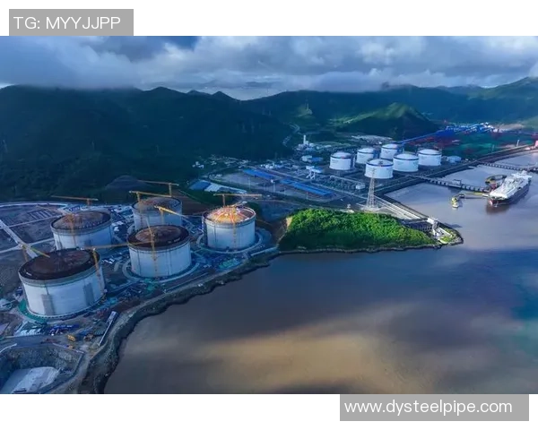 专业分析:液化天然气行业的防守策略与市场应对措施 专业分析:液化天然气行业的防守策略与市场应对措施