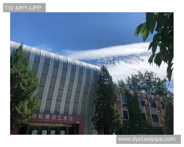 专访周丽：揭示排球背后的成功秘诀与奋斗故事