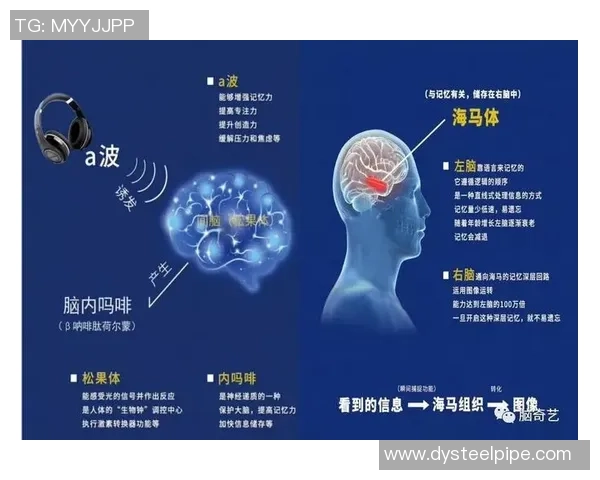 专访杨敏:深入探讨足球成功背后的秘密与经验分享 专访杨敏:深入探讨足球成功背后的秘密与经验分享