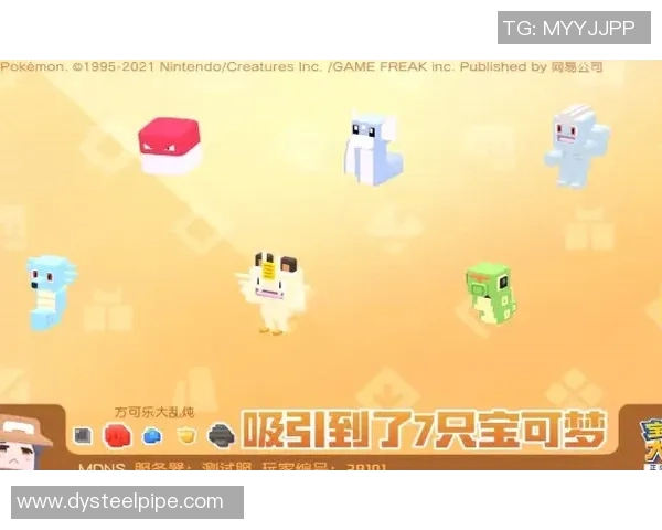 专访黄秀英：探寻她在篮球领域取得成功的秘诀与经验分享