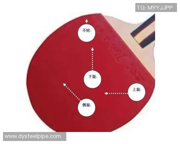 乒乓球新手必看：灵活性训练与技巧全面入门指南