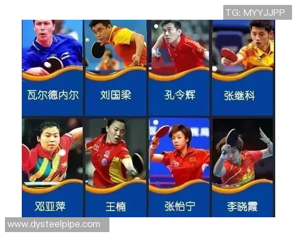 乒乓球耐力排行榜揭晓成都乒乓球队荣登第六名引发关注
