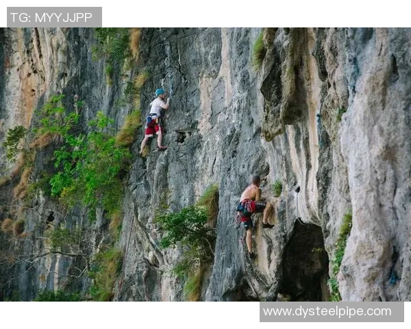 从零基础到高手之路：全面掌握攀岩技巧与训练方法指南