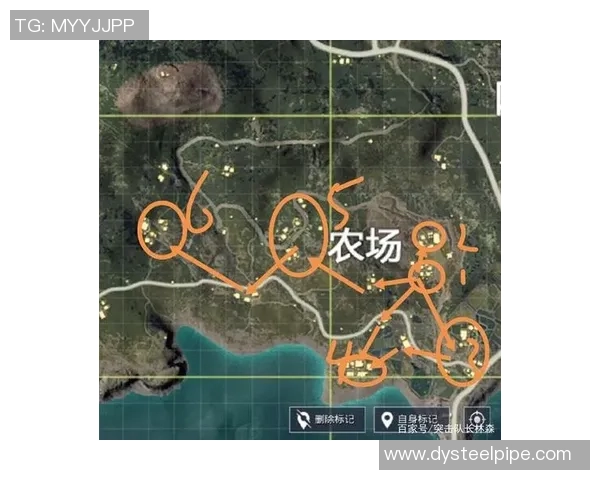 和平精英战术分析：WE战队快攻策略深度解读与应用探讨