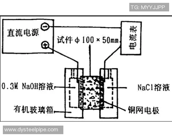 广州羽毛球队边路渗透战术分析及其对比赛结果的影响探讨 广州羽毛球队边路渗透战术分析及其对比赛结果的影响探讨