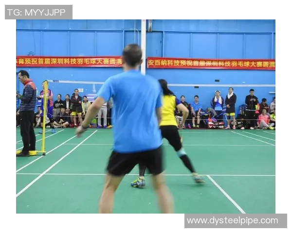 深圳羽毛球队在锦标赛中的灵活性表现与战术创新分析 深圳羽毛球队在锦标赛中的灵活性表现与战术创新分析
